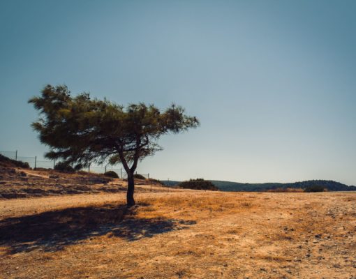 drought-christine-sandu-9FOmlWpZW2U-unsplash