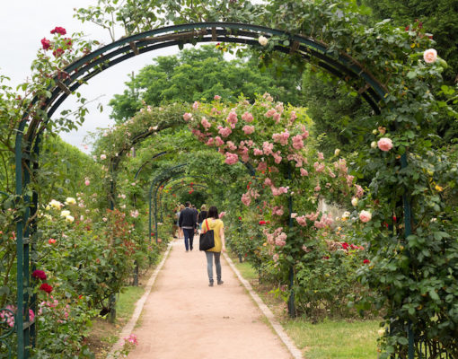 jardin_paris.jpg