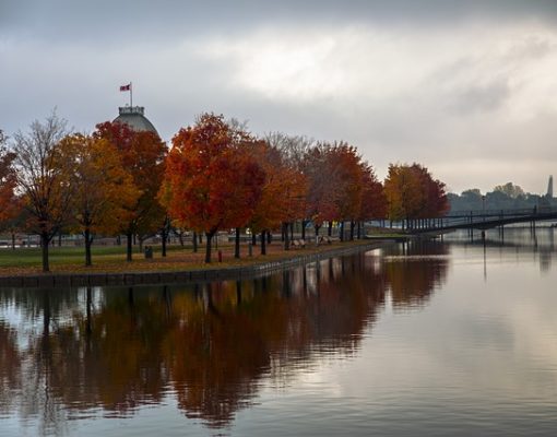 montrealvan.jpg